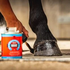 Corn Daily Hoof Dressing -Horse Gear Shop go 301893 c