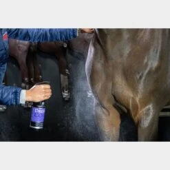 Dreamcoat Spray -Horse Gear Shop go 477618 c