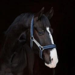 Rambo Padded Headcollar