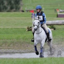 ARMA Neoprene Brushing Boots Royal Blue -Horse Gear Shop go 477851 b