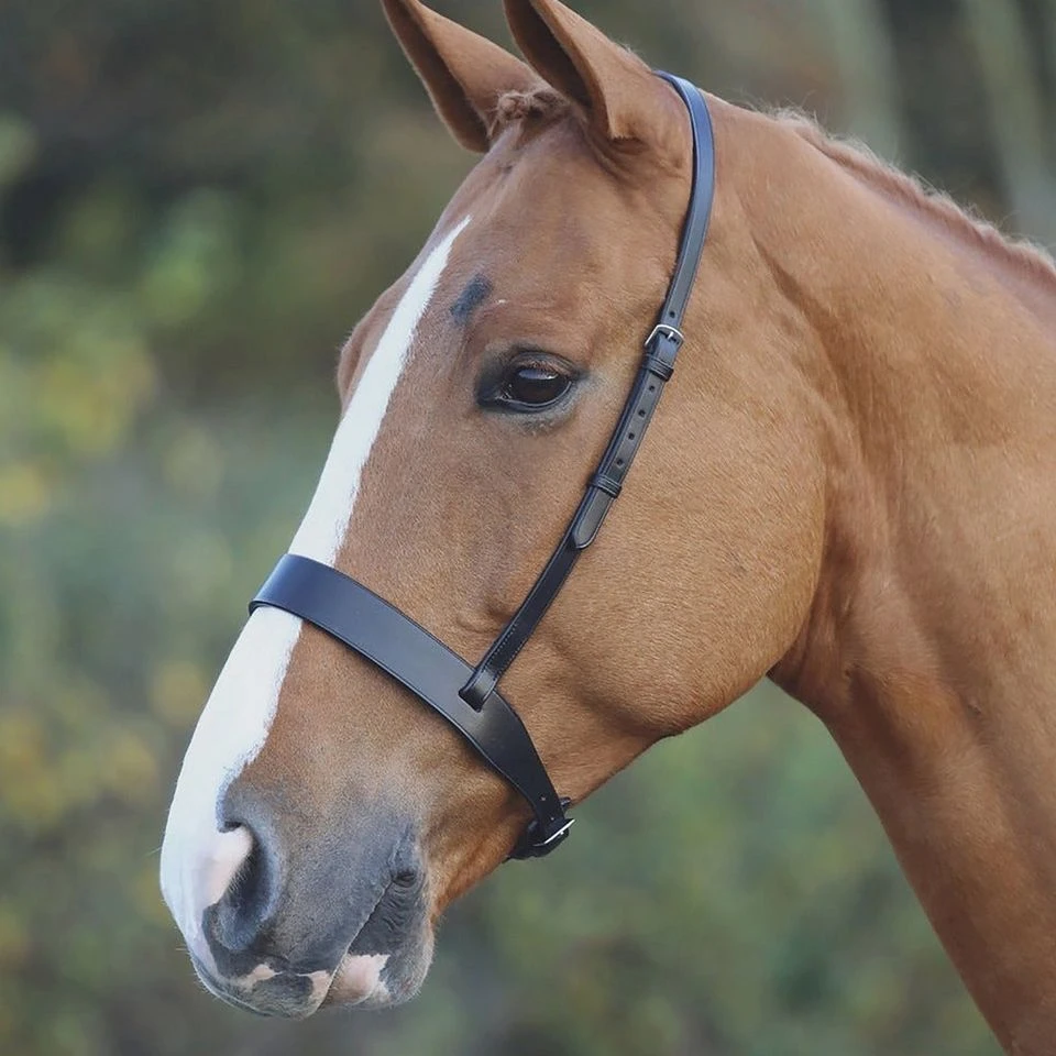 Cavesson Hunt Noseband Black 1 Cavesson Hunt Noseband Black