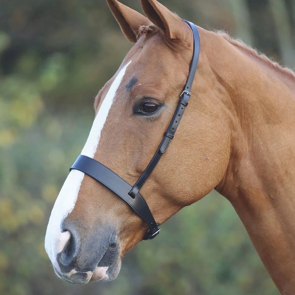 Cavesson Hunt Noseband Black 2 Cavesson Hunt Noseband Black - Image 2