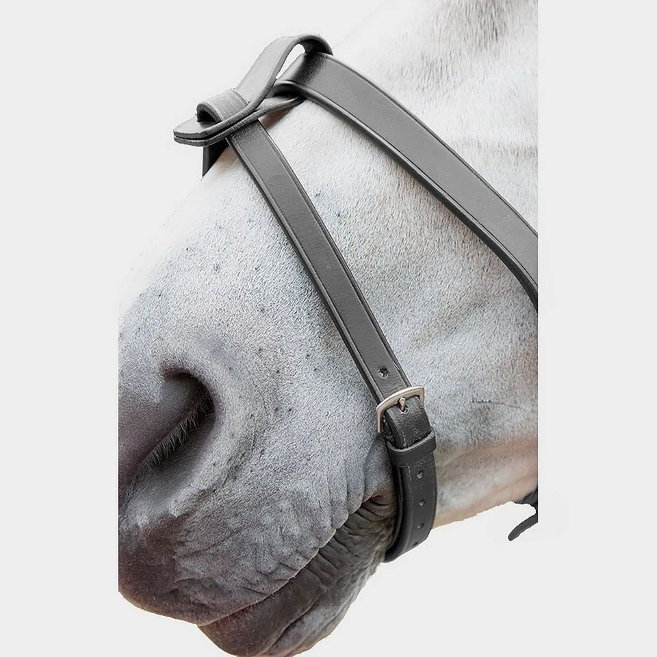 Flash Attachment 2 Flash Attachment - Image 2