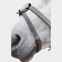 Horse Gear Shop -Horse Gear Shop go 477916 b