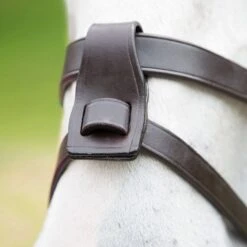 Flash Attachment -Horse Gear Shop go 477916 z