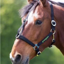 Muzzle Head Collar -Horse Gear Shop go 477945 b