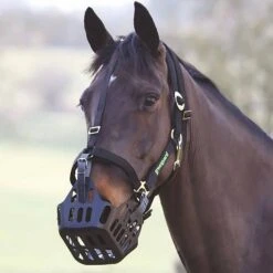 Muzzle Head Collar -Horse Gear Shop go 477945 z