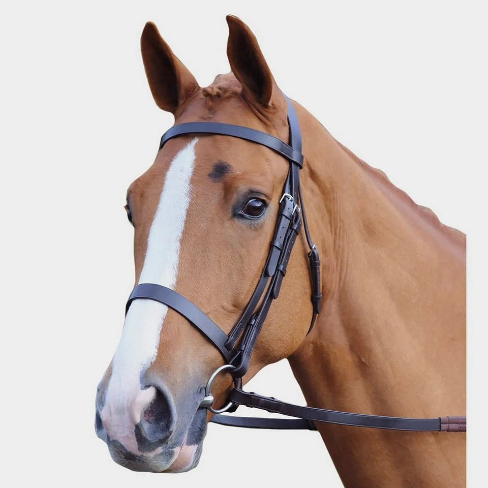Plain Hunt Bridle 1 Plain Hunt Bridle