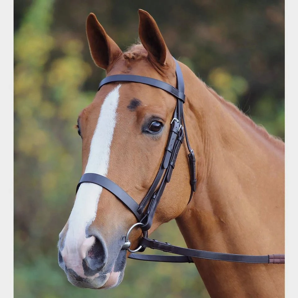 Plain Hunt Bridle 2 Plain Hunt Bridle - Image 2