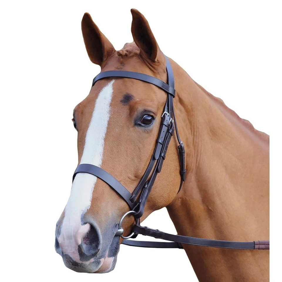 Plain Hunt Bridle 3 Plain Hunt Bridle - Image 3