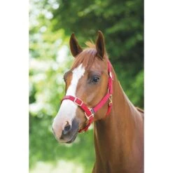 Nylon Headcollar Red 5 Nylon Headcollar Red -Horse Gear Shop go 478389 z