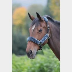 Fleece Lined Headcollar Black/Grey