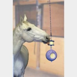 Boredom Breaker 6 Boredom Breaker -Horse Gear Shop go 478432 c