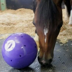 Snak-A-Ball -Horse Gear Shop go 478433 c