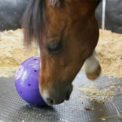 Snak-A-Ball -Horse Gear Shop go 478433 d