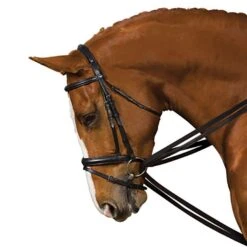 Web Draw Reins Set -Horse Gear Shop go 479332 z