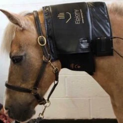 Therapy Heat Pad -Horse Gear Shop go 479853 c