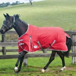 Weatherbeeta ComFiTec Classic 0g Lightweight Standard Neck Turnout Rug