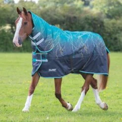 Tempest Original 200g Combo Turnout Rug