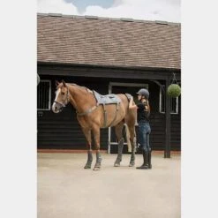 Massage Hotspot Combo -Horse Gear Shop go 571600 d