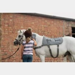 Massage Hotspot Combo -Horse Gear Shop go 571600 e