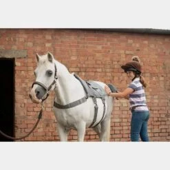 Massage Hotspot Combo -Horse Gear Shop go 571600 f