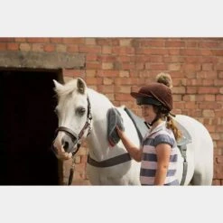 Massage Hotspot Combo -Horse Gear Shop go 571600 h