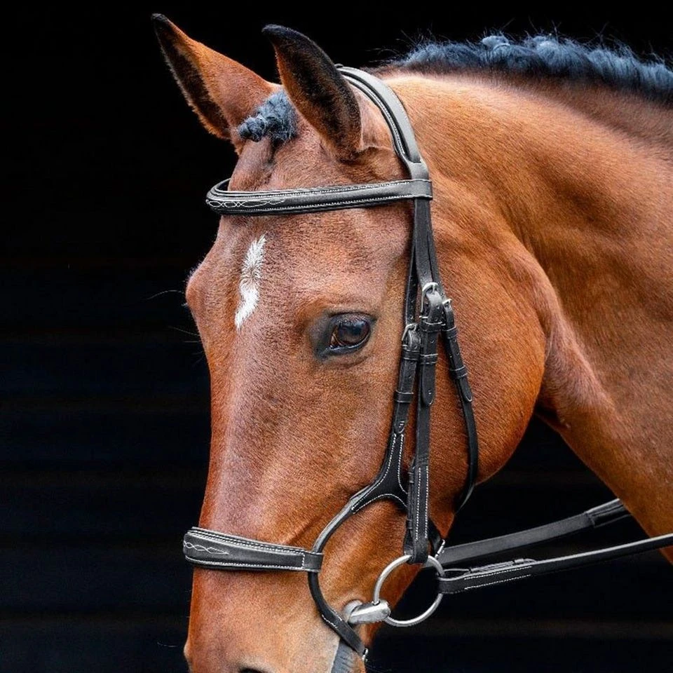 Salisbury Brampton Bridle 1 Salisbury Brampton Bridle