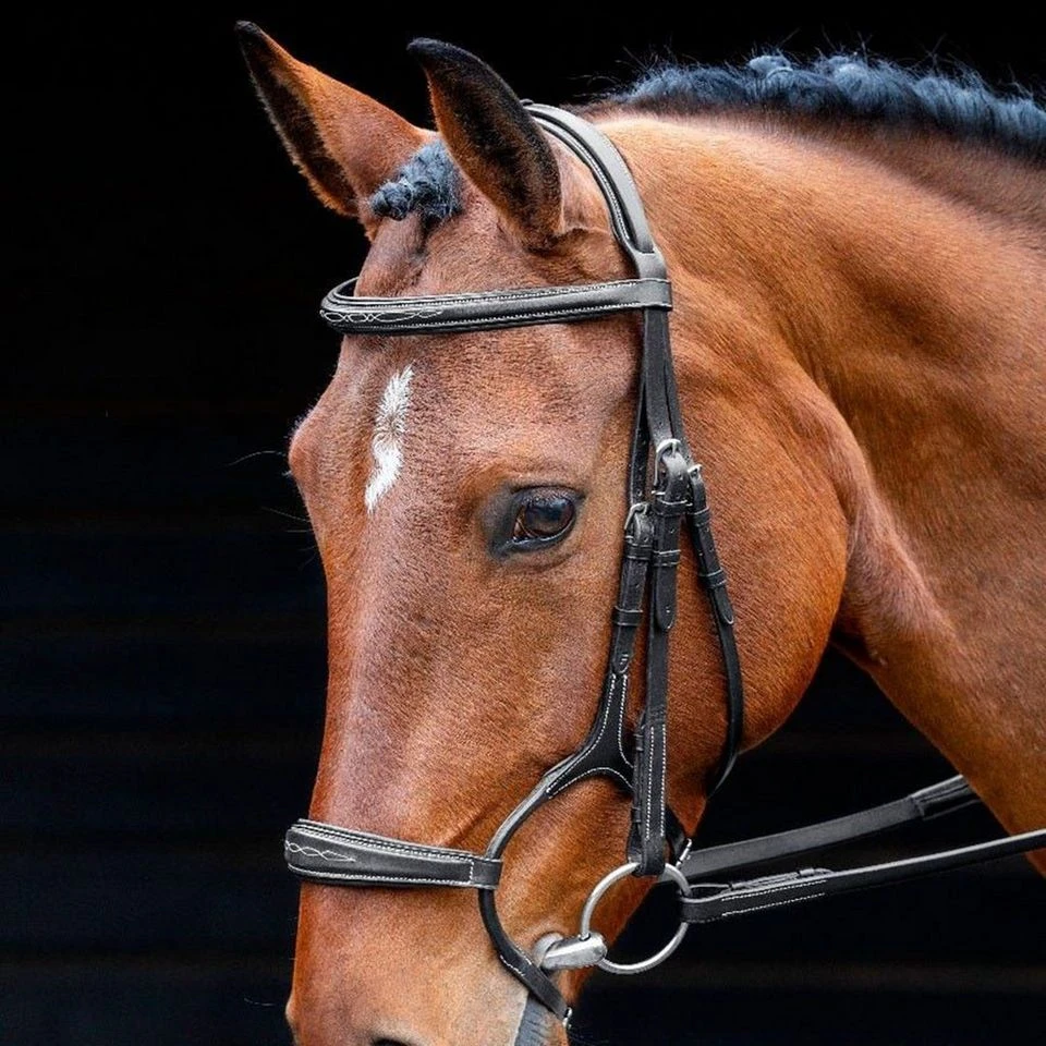 Salisbury Brampton Bridle 2 Salisbury Brampton Bridle - Image 2
