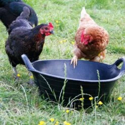 Horse Gear Shop -Horse Gear Shop go 622626 b