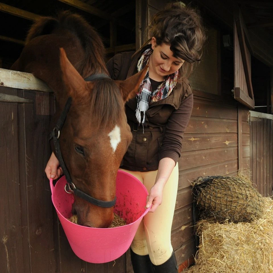 Horse Gear Shop -Horse Gear Shop go 622629 b