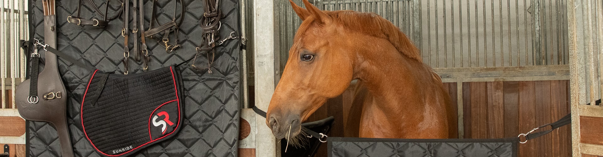 Horse Gear Shop -Horse Gear Shop 255 Category min